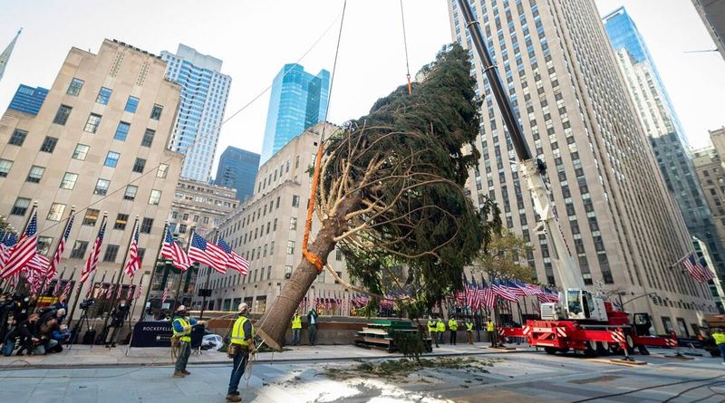 Árbol de Navidad del Rockefeller Center, búho de árbol del Rockefeller Center, búho de árbol de Navidad de Rockefeller, búho de Rockefeller, película 992 Home Alone 2: Lost in New York, búhos de sierra, búho de Navidad, Indian Express