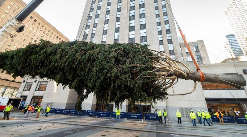 Árbol de Navidad del Rockefeller Center, búho de árbol del Rockefeller Center, búho de árbol de Navidad de Rockefeller, búho de Rockefeller, película 992 Home Alone 2: Lost in New York, búhos de sierra, búho de Navidad, Indian Express