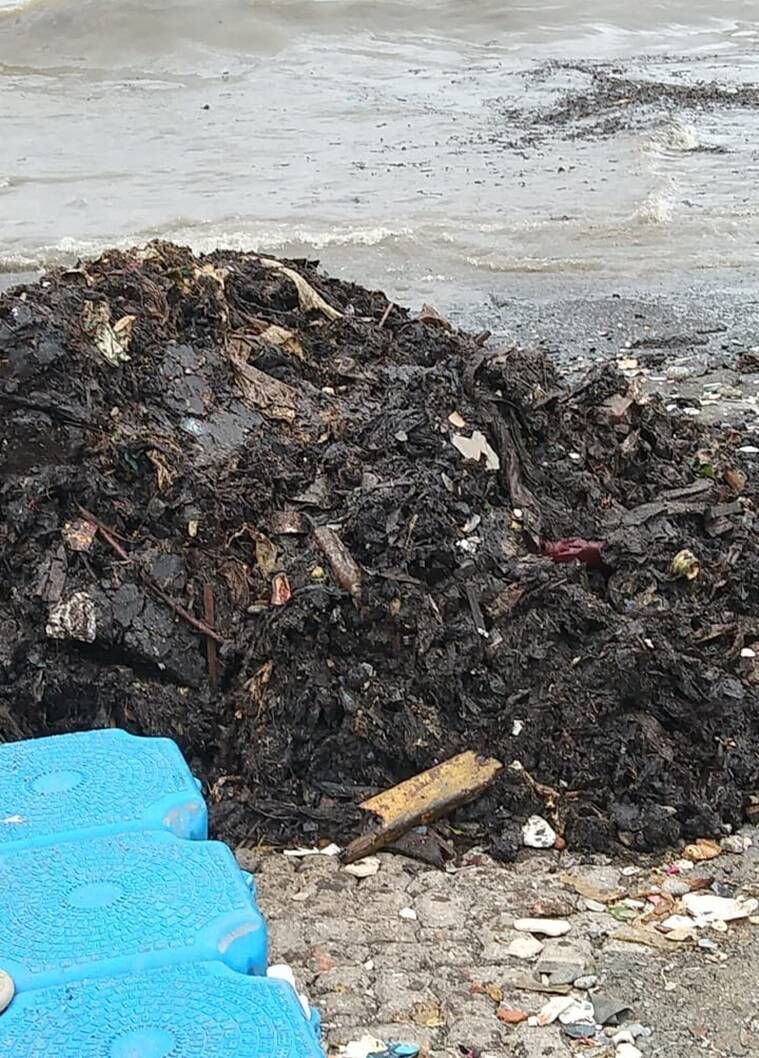 Tarballs, Tarballs de las playas de Mumbai, Tarball de la playa de Juhu, Tarball de Cuffe Parade, Noticias de Mumbai, Indian Express