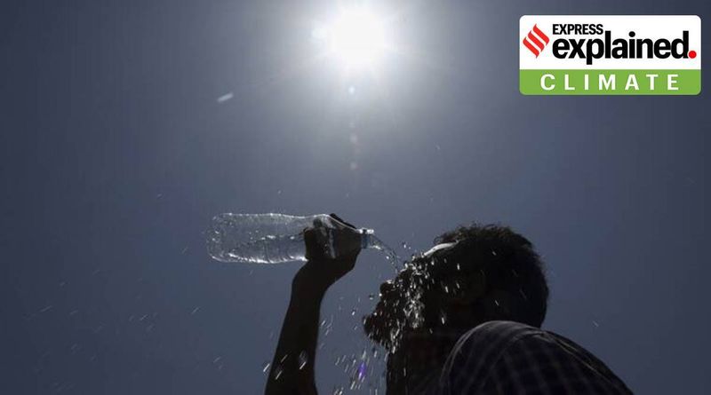 2020 hetaste året, hetaste året någonsin, global uppvärmning, global temperatur,
