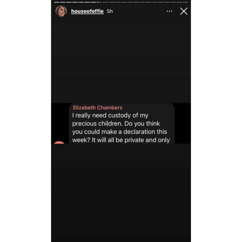 Elizabeth Chambers kehotti Armie Hammeria's Accuser to Come Forward: Details