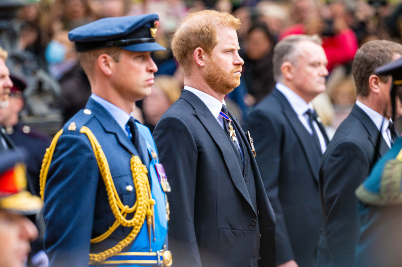Princ Harry's Ups and Downs With the Royal Family Over the Years, From Royal Exit to Meghan Markle Tell-All and More