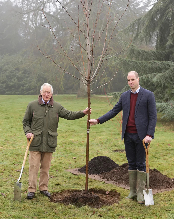Le roi Charles III annonce la fin du projet de canopée verte de feu la reine mère Elizabeth II : « Un hommage approprié »