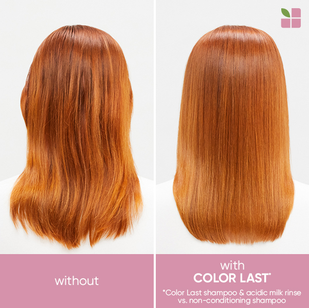 Biolage Color Last 深层护理套装
