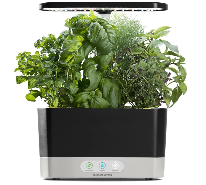 حصاد AeroGarden مع مجموعة بذور بذور الأعشاب الذواقة